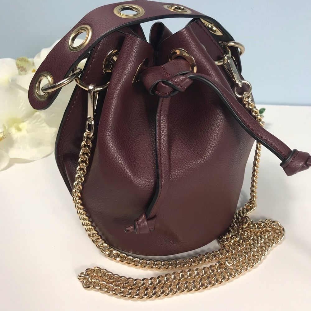 Zara Mini Burgundy Bucket Bag